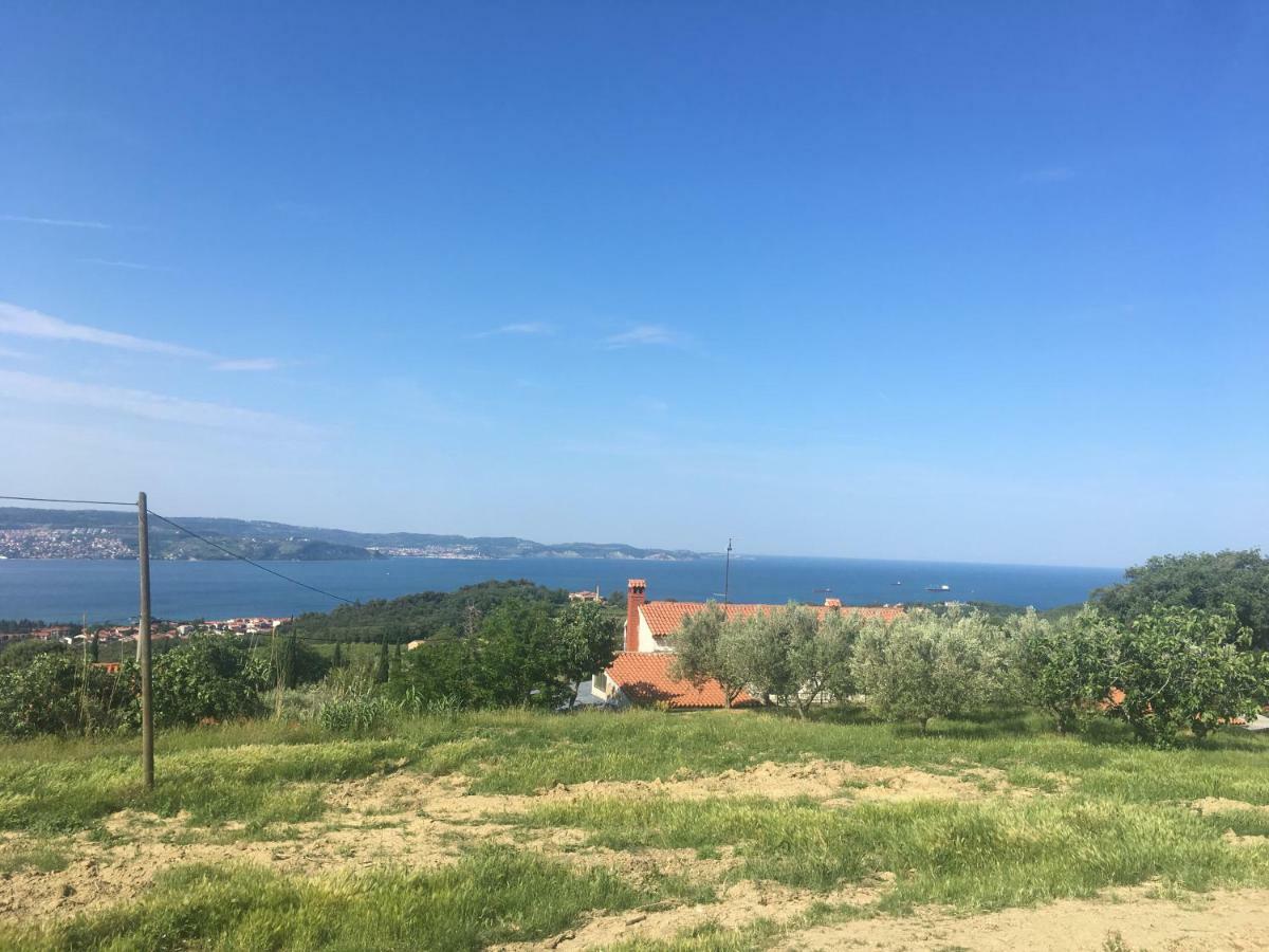 Bella Vista Leilighet Ankaran Eksteriør bilde